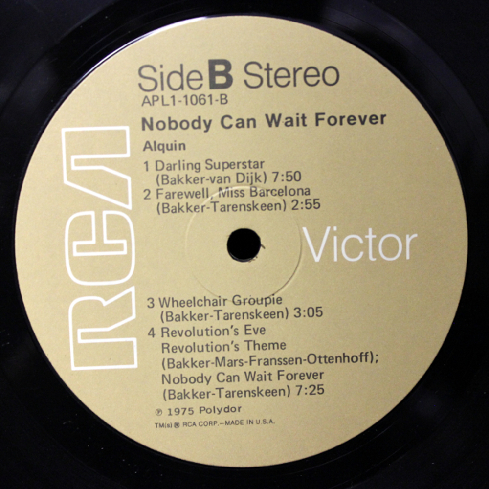 Alquin / Nobody Can Wait Forever (LP)