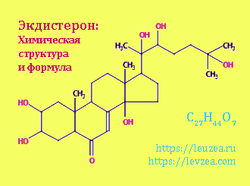 Экдистерон - действующее биологически активное вещество