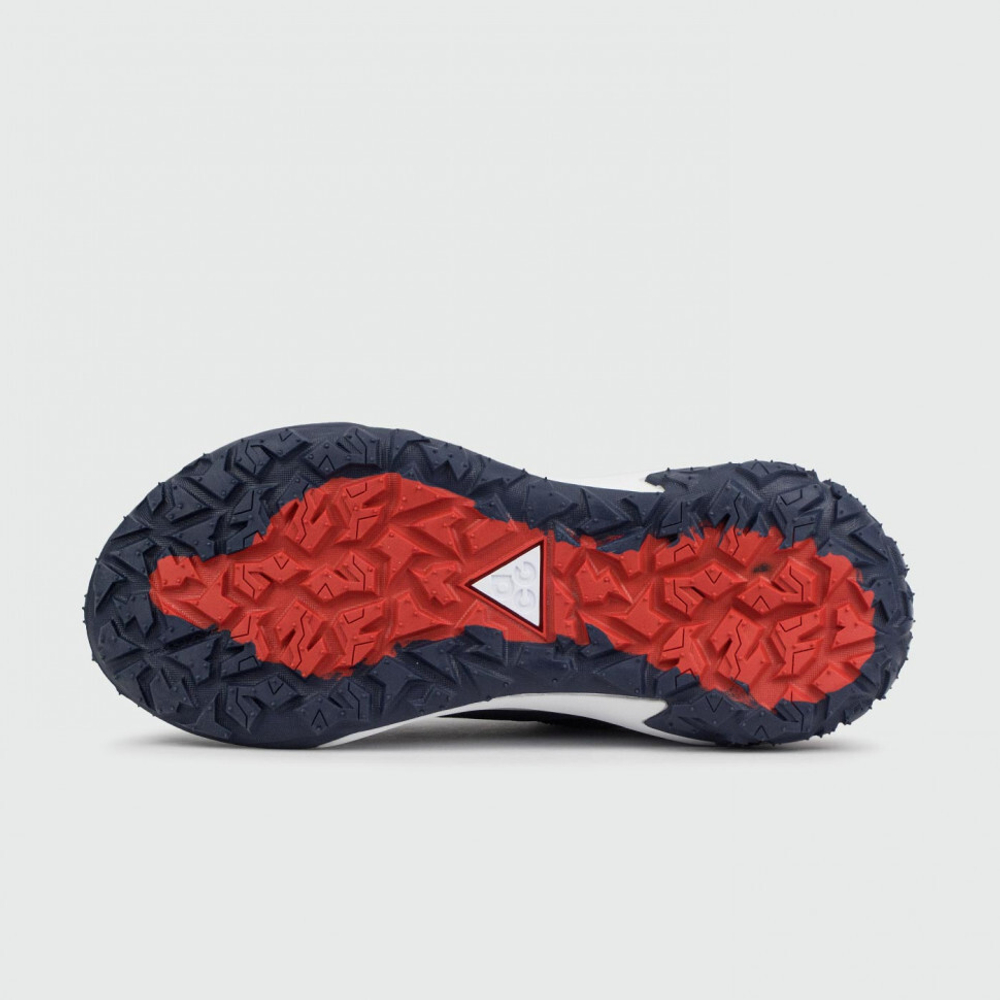 кроссовки Nike ACG Mountain Fly 2 Low Gtx Blue / White