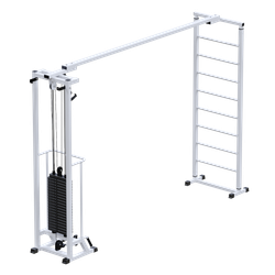 Биотонус + шведская стенка (стек 100 кг)