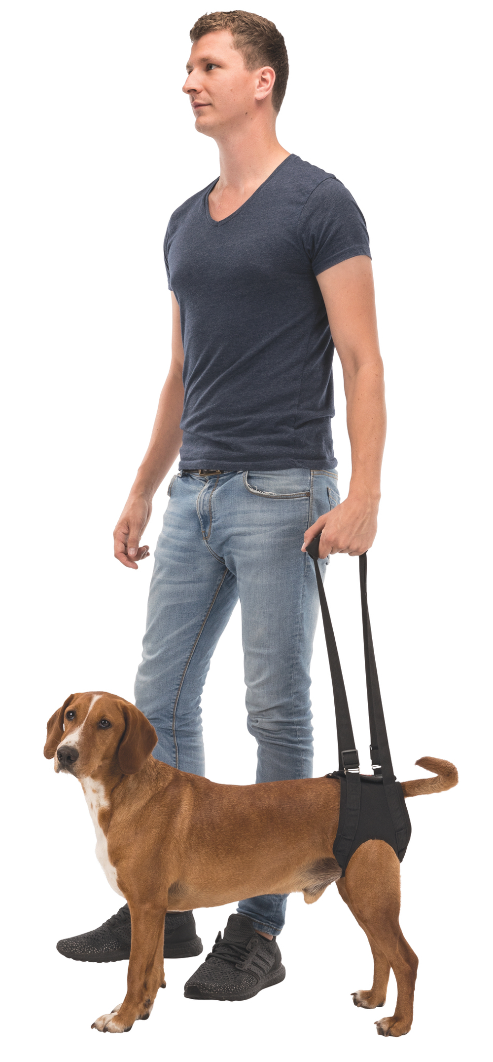 Шлейка Trixie "Walking Aid", для средних собак, регулируемая, эластичная, черная, L