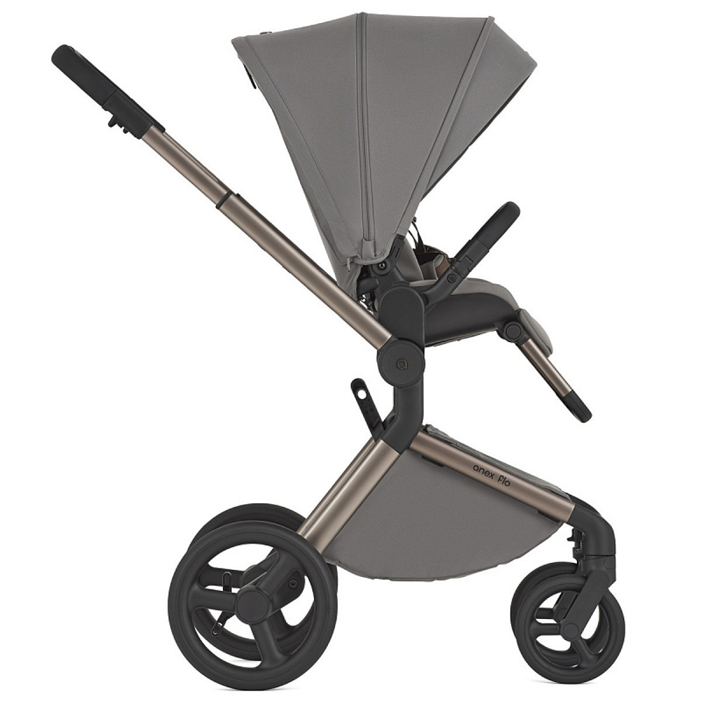Детская коляска Anex Flo 2 в 1 Charm