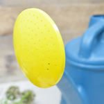 Лейка 7л Классик с рассеивателем