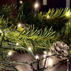 ULD-S0500-050-DGA WARM WHITE IP20 Гирлянда светодиодная. 5м. 50 светодиодов. Теплый белый свет. Провод зеленый. ТМ Uniel