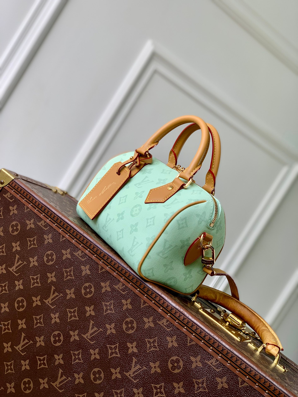 Louis Vuitton Speedy Bandouliere 20