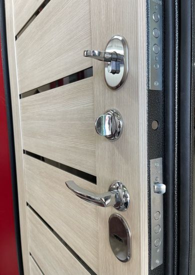 Дверь металлическая Аргус «A-LITE PRO-1»