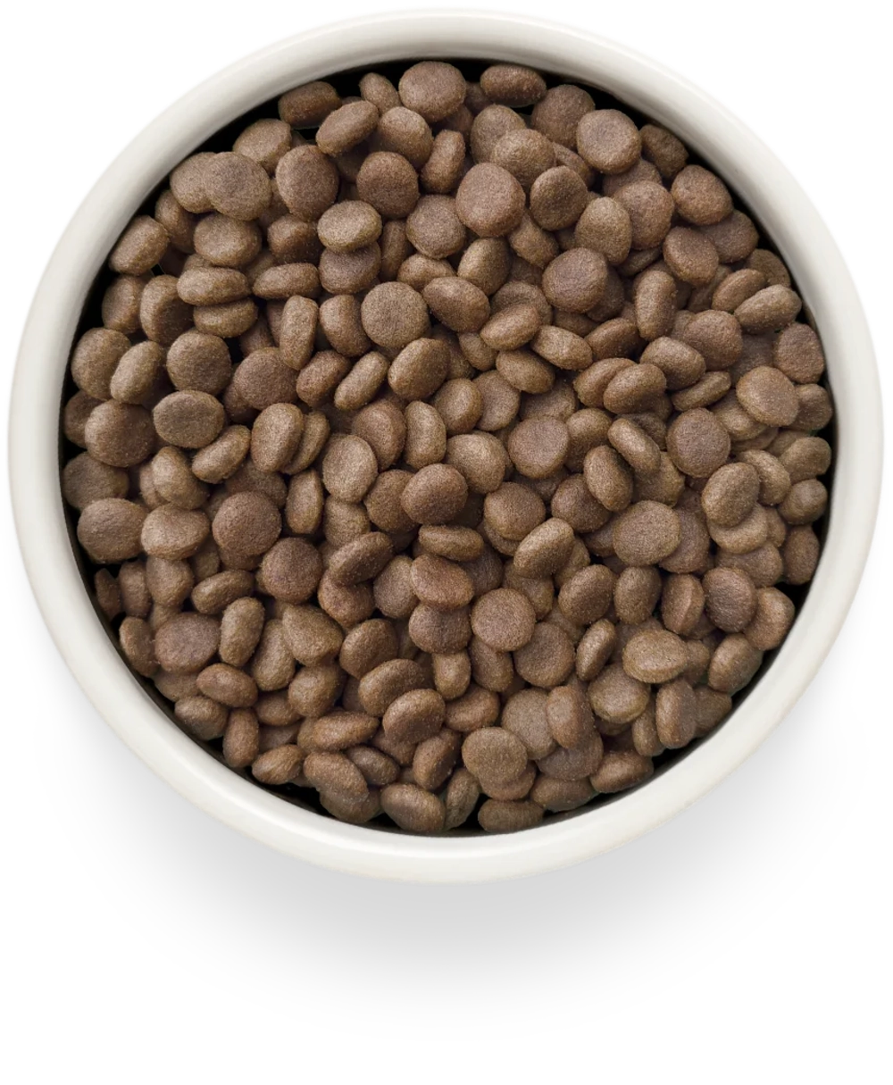 Сухой корм GRANDORF VETERINARY DIET Dog GASTROINTESTINAL LOW FAT Полнорационный диетический корм для собак, способствующий регуляции метаболизма липидов при гиперлипидемии 3кг