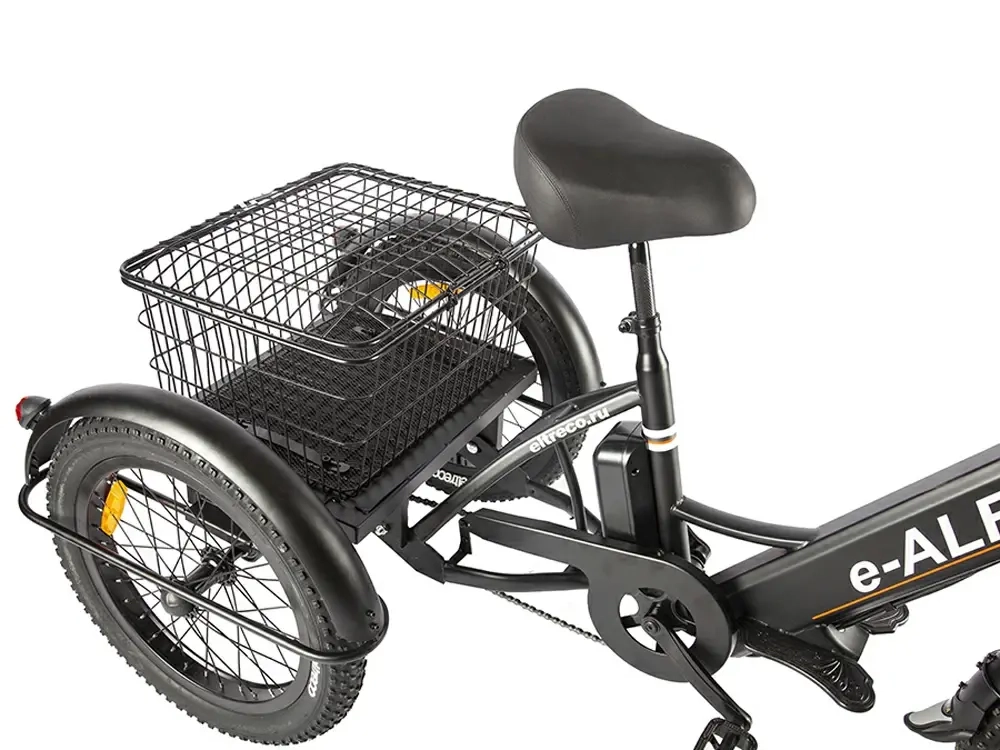 Электровелосипед GREEN CITY e-ALFA Trike (серебристый)