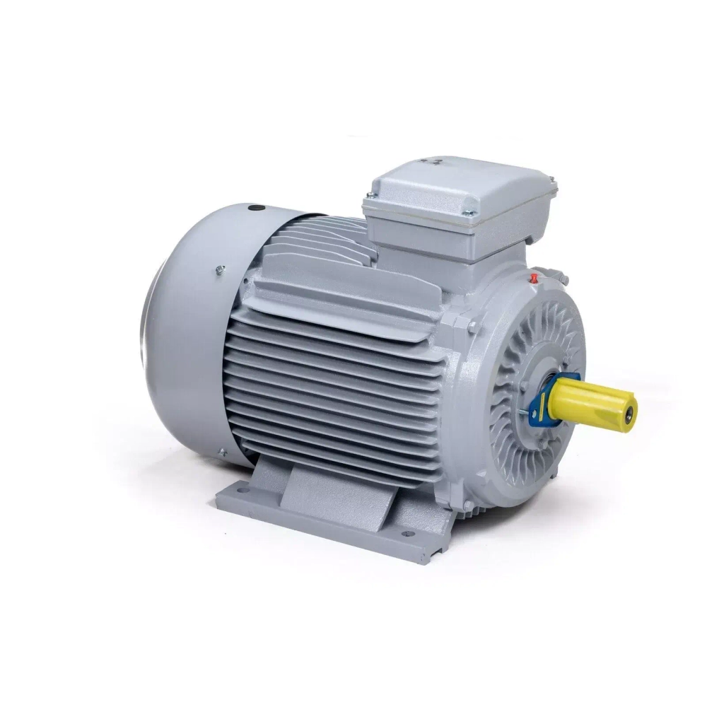 Электродвигатель ESQ PR 315 M2-SDN-Б1-S12-IE2 132/3000 IMB3