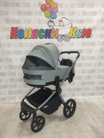 Коляска модульная Rant Flex Soft Therm Forest Green