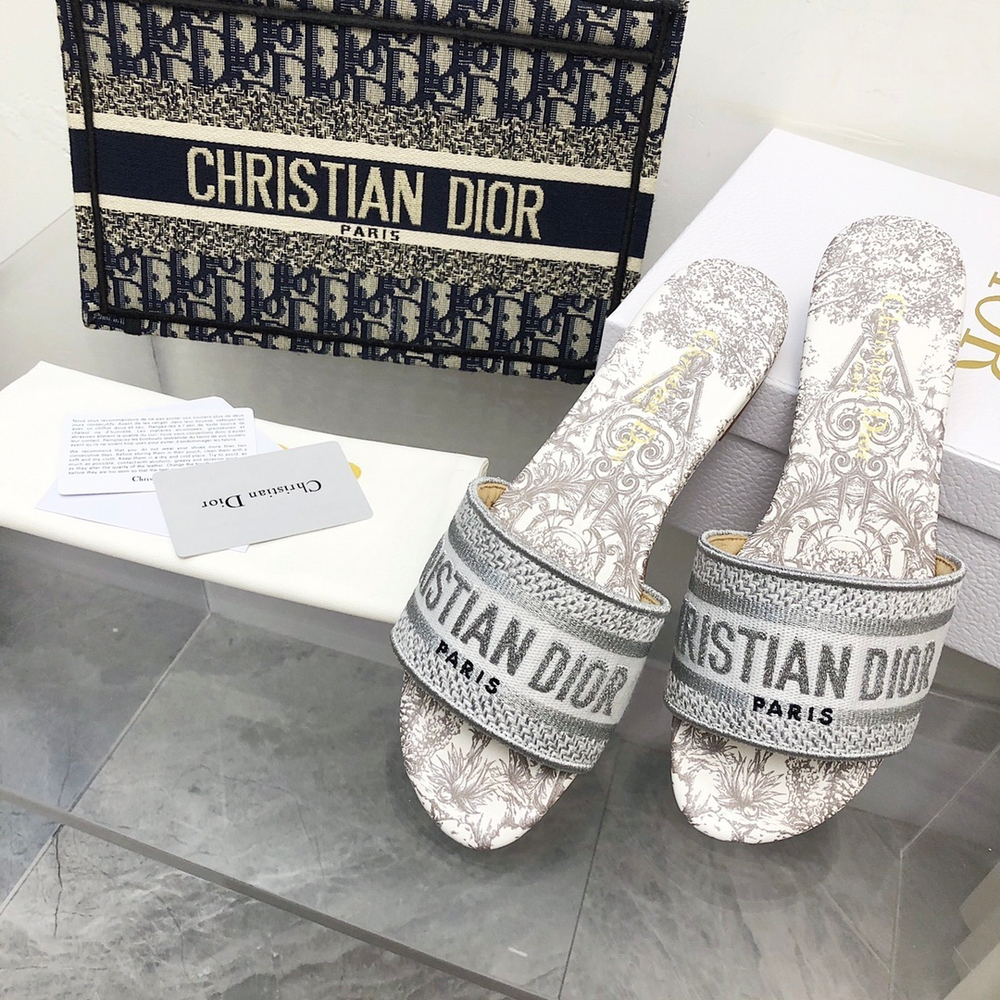 Christian Dior Dway Slide