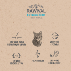 Сухой корм RAWIVAL для кошек с лососем и сельдью - 5 кг