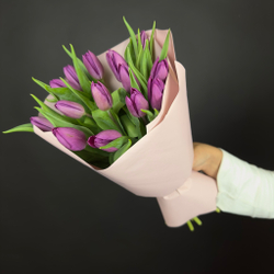 Bouquet of 15 violet tulips