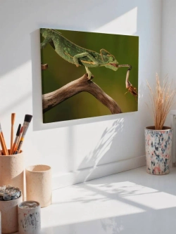 Картина на стену 40 X 50 Хамелеон