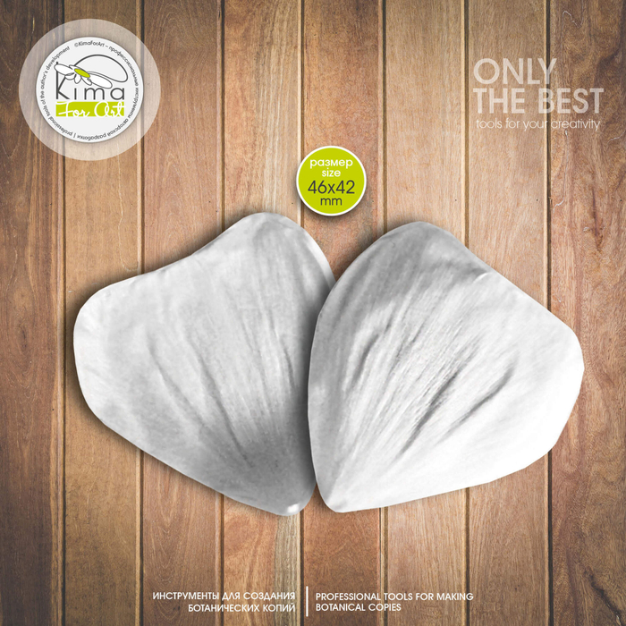 Ранункулюс лепесток очень большой