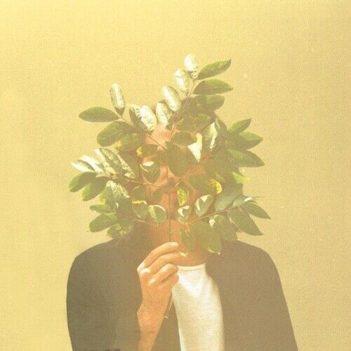 FKJ - French Kiwi Juice