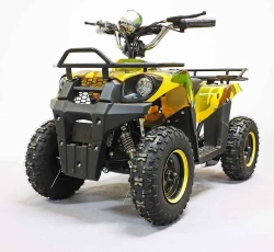 Электроквадроцикл Green Camel Гоби K40 (36V 800W R6 Цепь) быстросъем