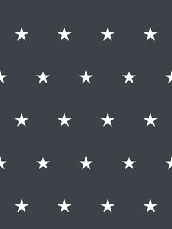 Наволочка комплект 2шт Сказка "Альтаир" 40х60 см, поплин