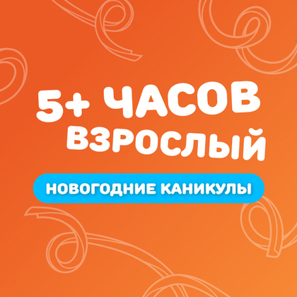 Взрослый билет на тариф "5+ часов" в новогодние каникулы