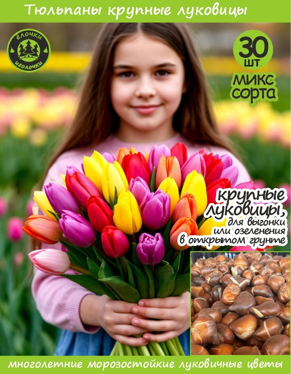 Тюльпан Луковица, Микс сортов, 30 шт крупные