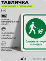 Табличка "Держите питомцев на поводке, убирайте за ними" на дверь и забор, для двора, дома, подъезда, 40х30 см, Silver Plane x Айдентика Технолоджи