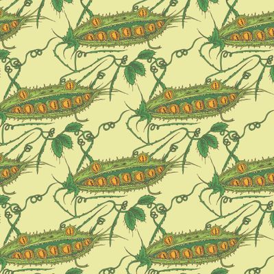 Хищный горошек