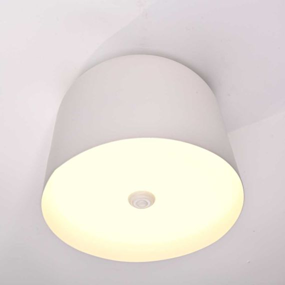 Потолочный светильник Imperium Loft Cylinder 101495-26