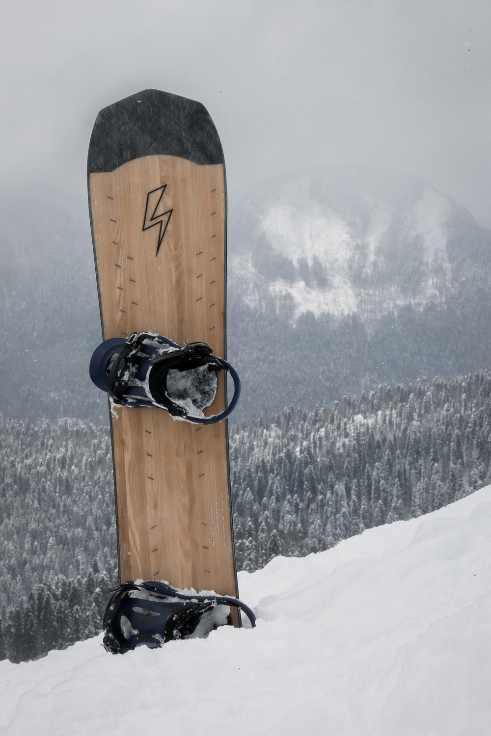 Сноуборд VIRUS Revolution performance FR