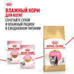 Royal Canin Persian Kitten Персиан Киттен Корм сухой для котят персидской породы до 12 месяцев 10кг