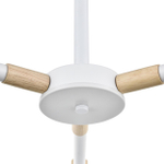 Потолочная люстра Lumion ROSALINA 8097/3C