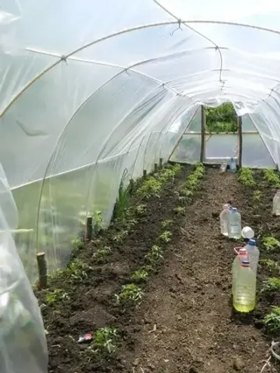 Арматура стеклопластиковая d-8мм (50м) композитная