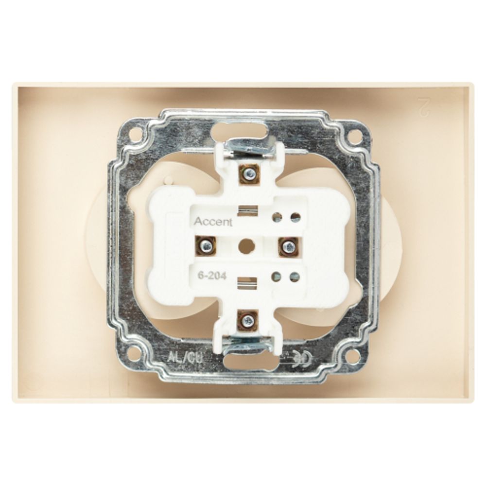 Розетка Intro Accent 6-204-02 двойная 2х2P 16А-250В IP20 СУ AL/CU слоновая кость