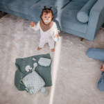 Комплект детских расчёсок Suavinex Birdies голубой