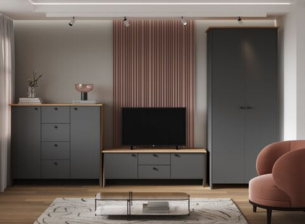 Модульная стенка в гостиную Дуб крафт золото/Графит 122,3х52,3х210 см