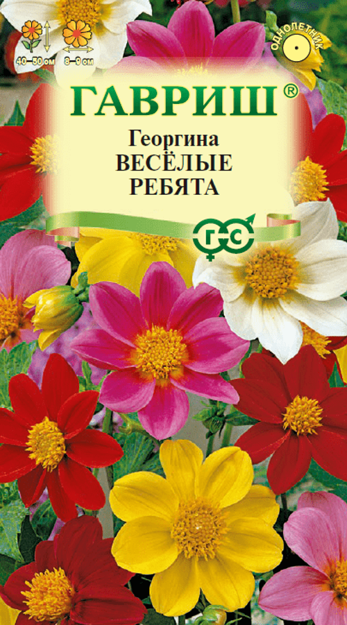 Георгина Веселые ребята 0.3г Гавриш