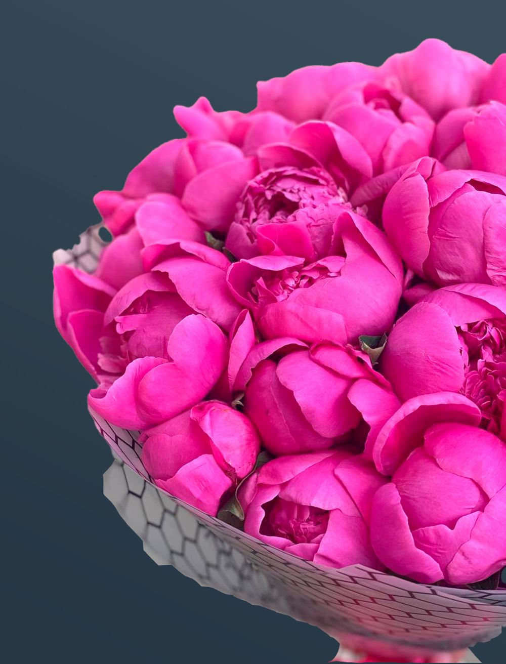 Пионы в фамеране