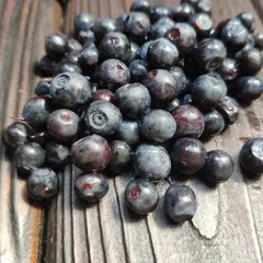 Черника свежая / 250 гр