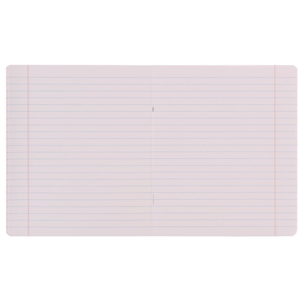 Тетрадь школьная А5 24л линия, зеленая "Классика Bright" (ErichKrause) (комплект 2 шт)