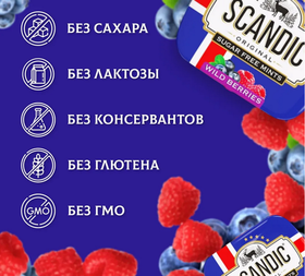 Конфеты SCANDIC без сахара со вкусом "Лесные ягоды" 14 гр