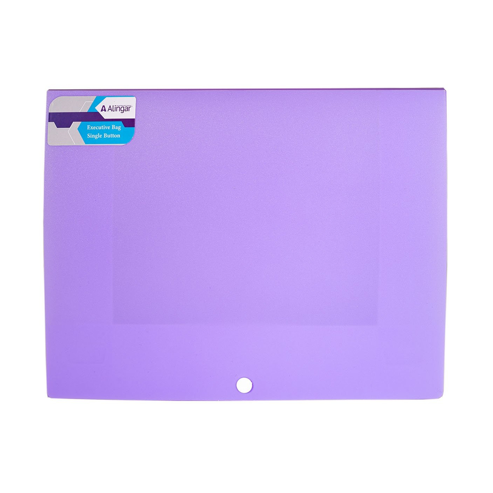 Папка на кнопке Alingar, A4, 240х320х10, 500 мкм, карман для визитки, ассорти, матовая, "Ice"