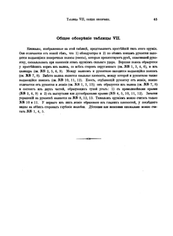 Сибирские древности. Том 1. Выпуск 2 | В. В. Радлов