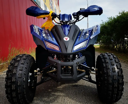 Квадроцикл MOTOLAND (МОТОЛЕНД) 125 COYOTE PRO