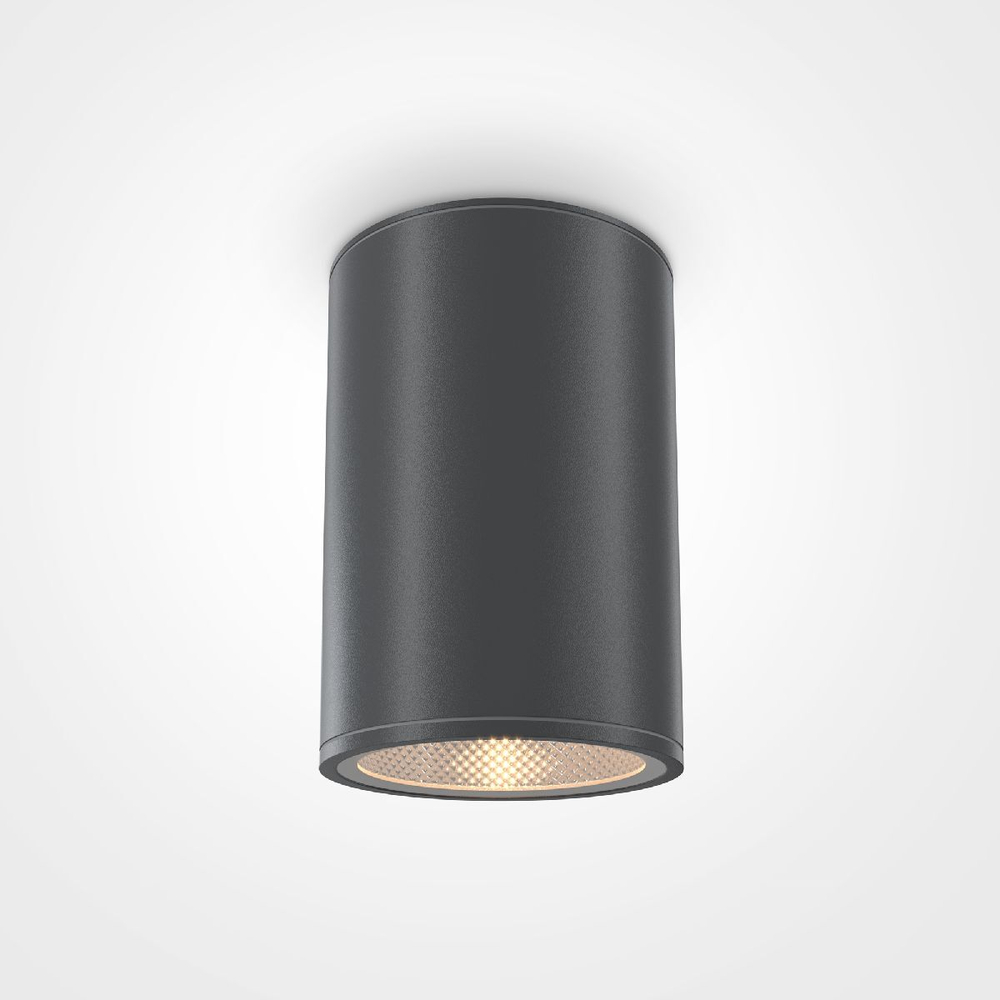 Накладной светильник Maytoni Bar O306CL-L12GF