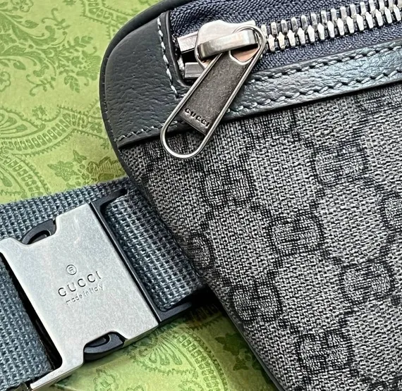 Поясная сумка Gucci Ophidia