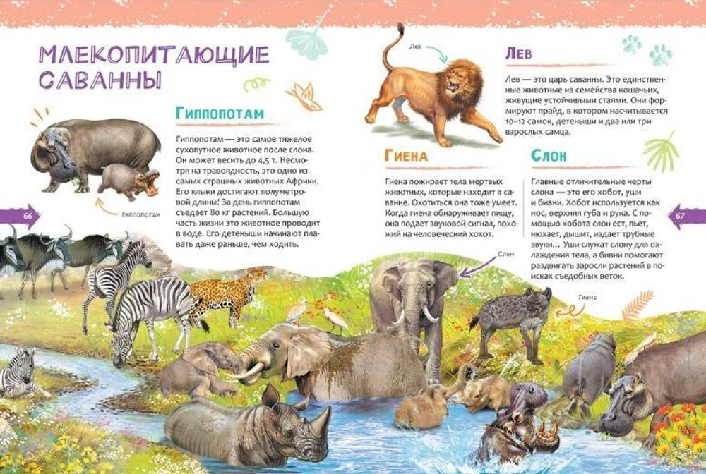 Животные. Новая детская энциклопедия