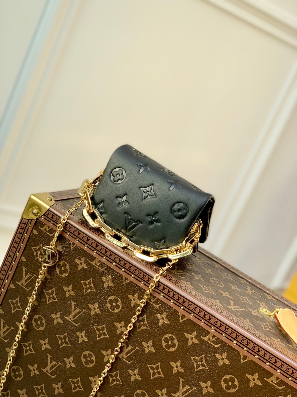 Louis Vuitton Beltbag Coussin