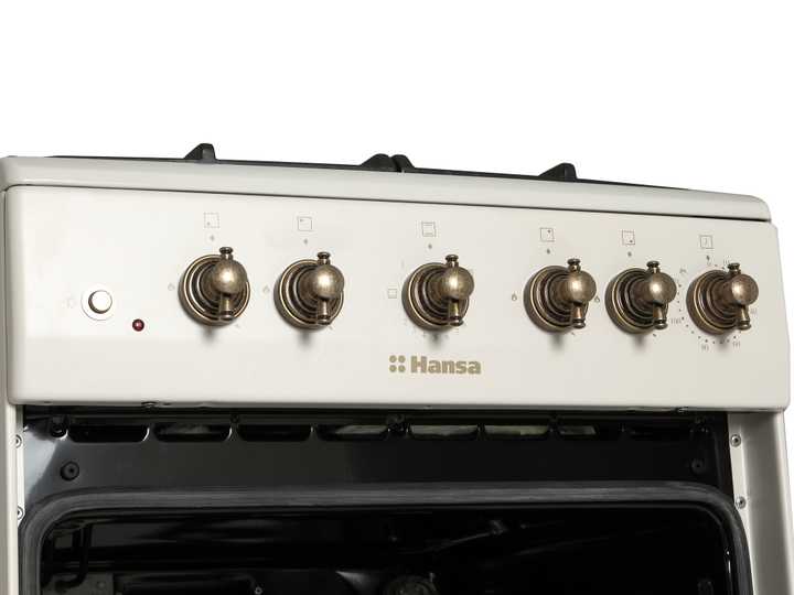 Газовая плита Hansa FCGY52109