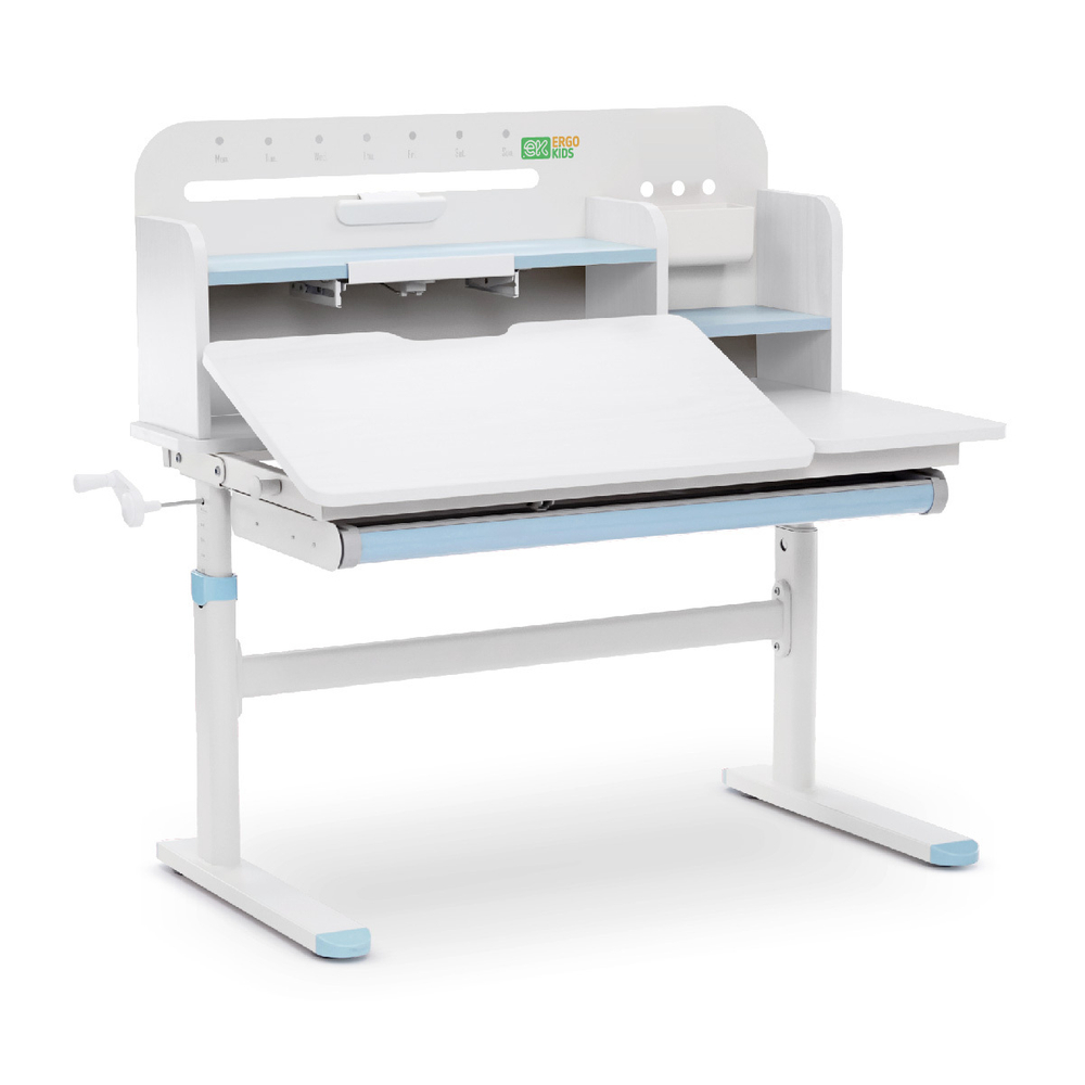 Растущая парта Ergokids Argo