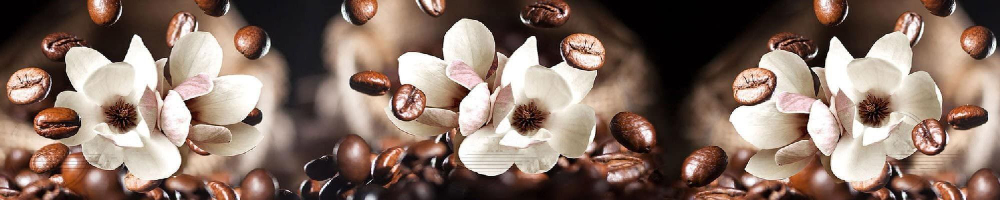 Кухонный фартук Кофейные зерна 3000х600 мм