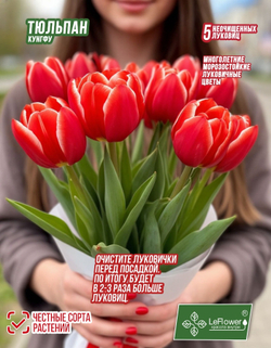 Тюльпан Луковица цветов, Кунг Фу 5 шт,